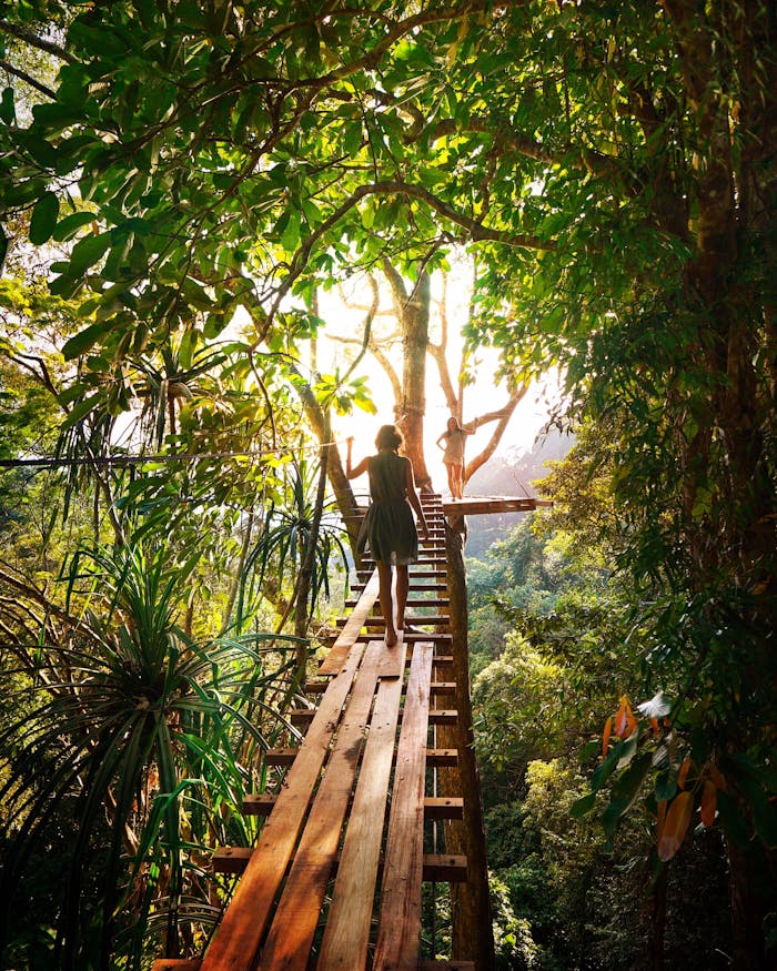 services-02 Experience adventure walking on a bridge through Thailands vibrant green forest.
